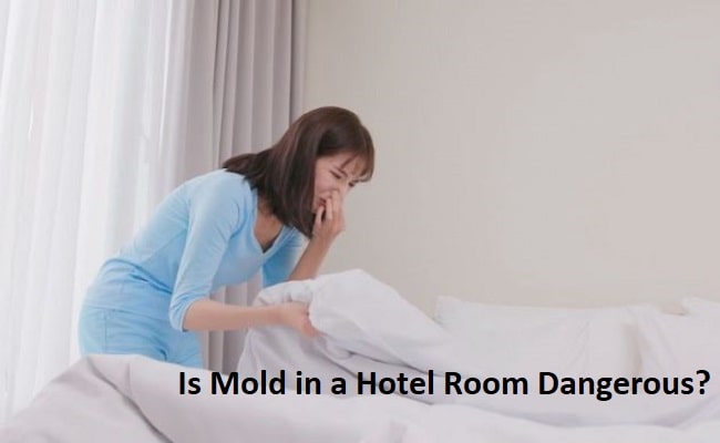 Is Mold in a Hotel Room Dangerous