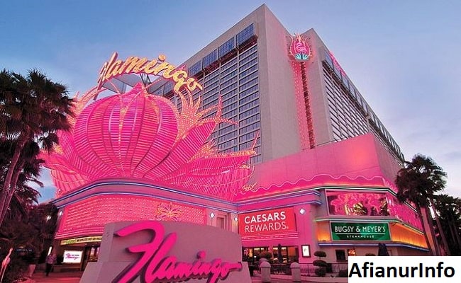 why is the flamingo hotel so cheap?